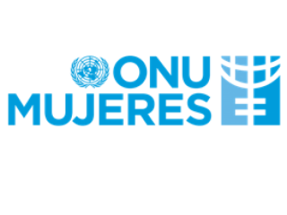 21° Convocatoria de propuestas para el Fondo Fiduciario de las Naciones Unidas
